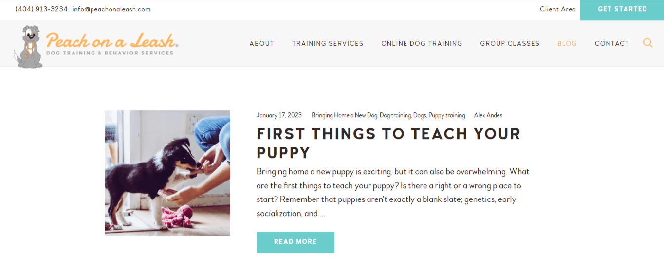 Peach on a Leash’s blog page with blog posts about how to train a dog.