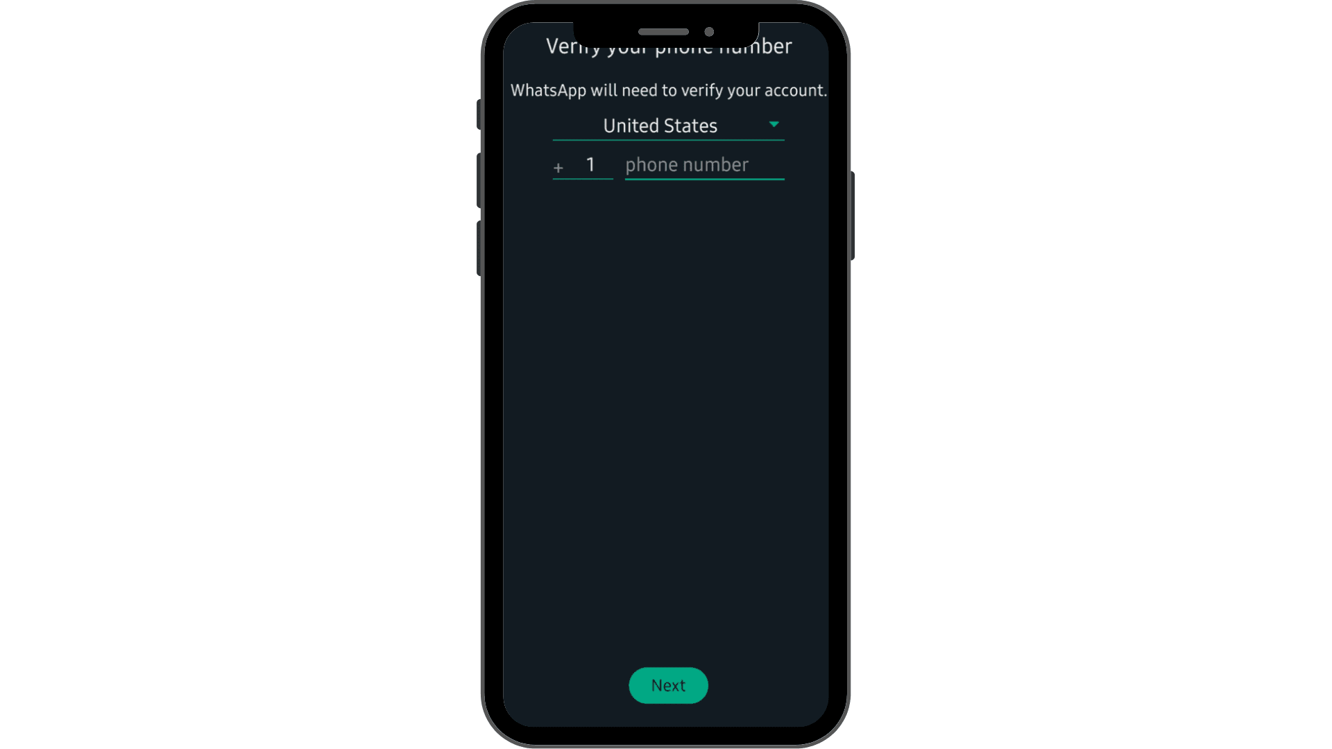 Verify your phone number screen in the WhatsApp Business app.