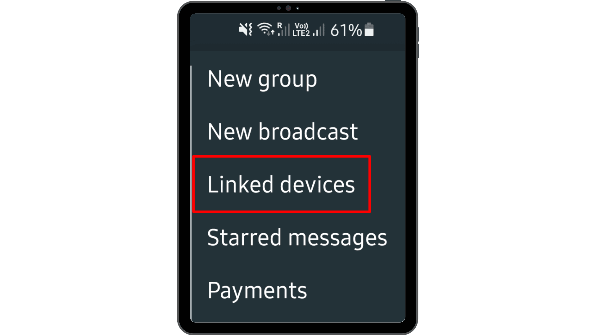 Linked devices option in the WhatsApp Business app.