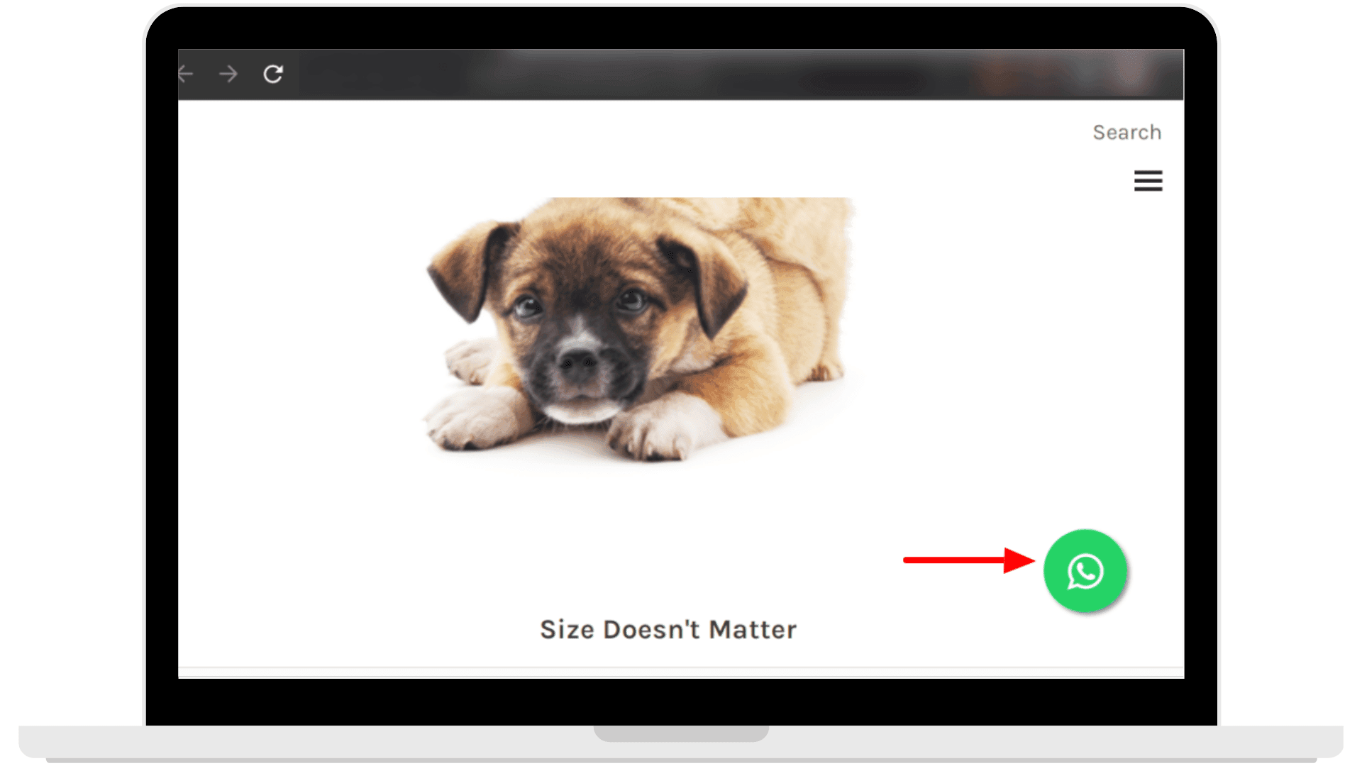 WhatsApp button on a website to get WhatsApp opt-in from visitors.
