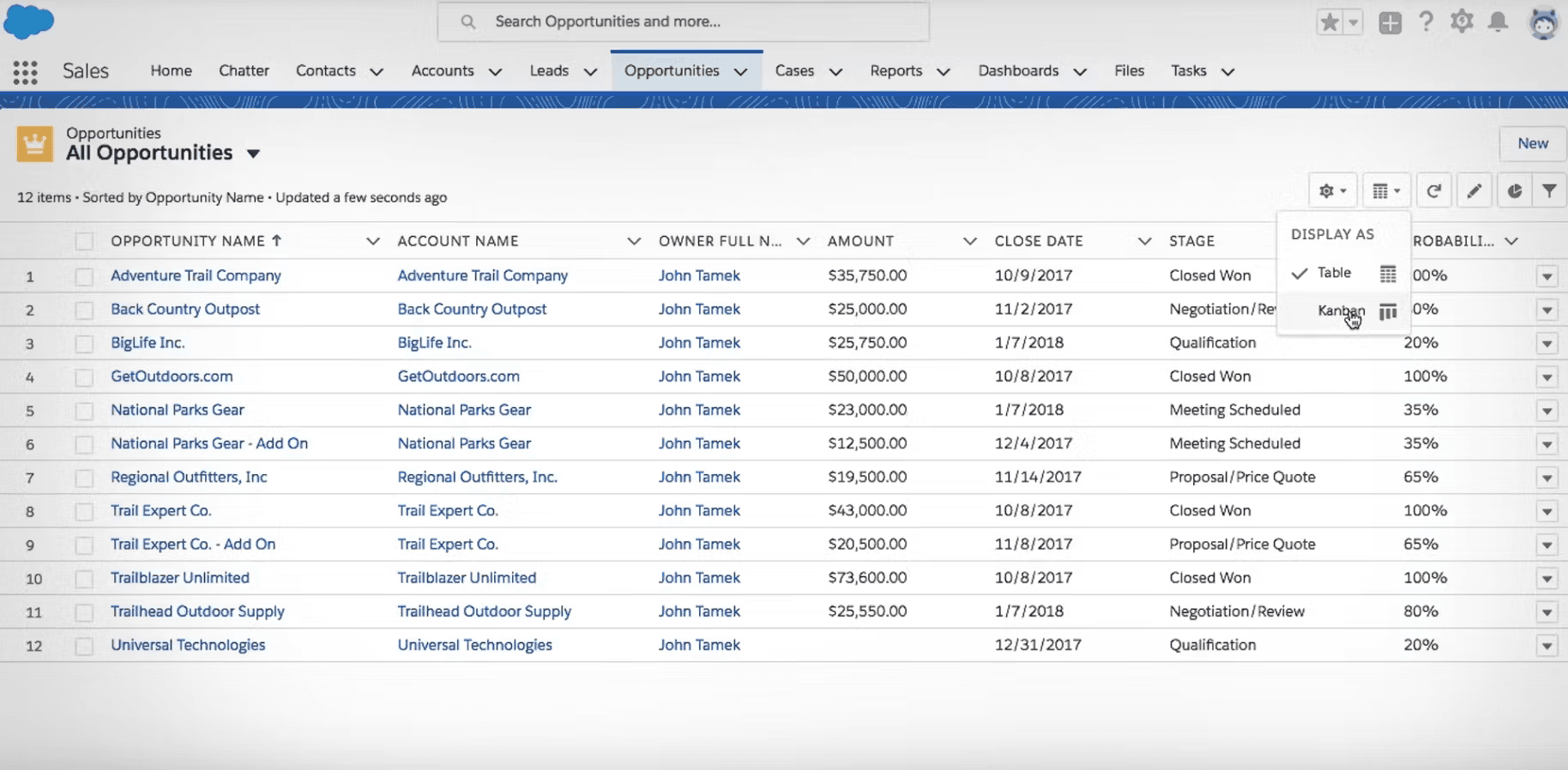 An image of Salesforce CRM containing all the sales opportunity data.