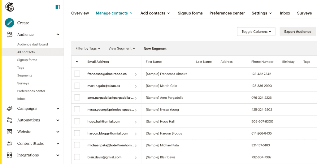 Interface of Mailchimp’s contact management to manage contact list (source)