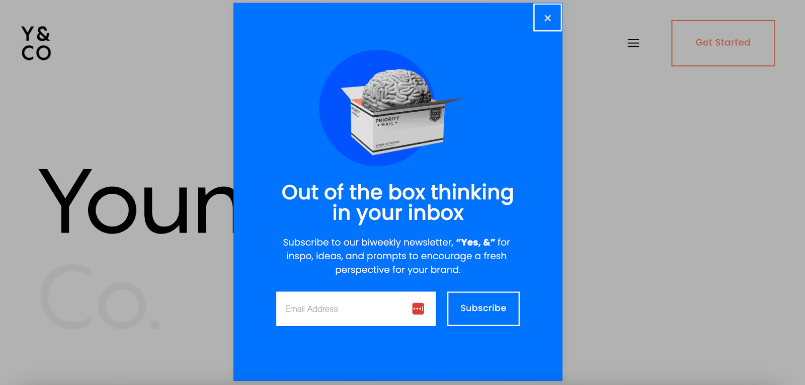 An example of a pop-up opt-in form to capture emails to build an e-commerce email list. 