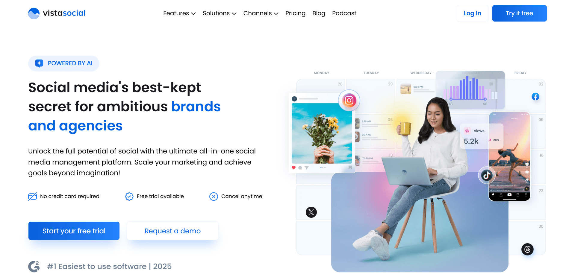 Homepage of Vista Social, a social media management tool.