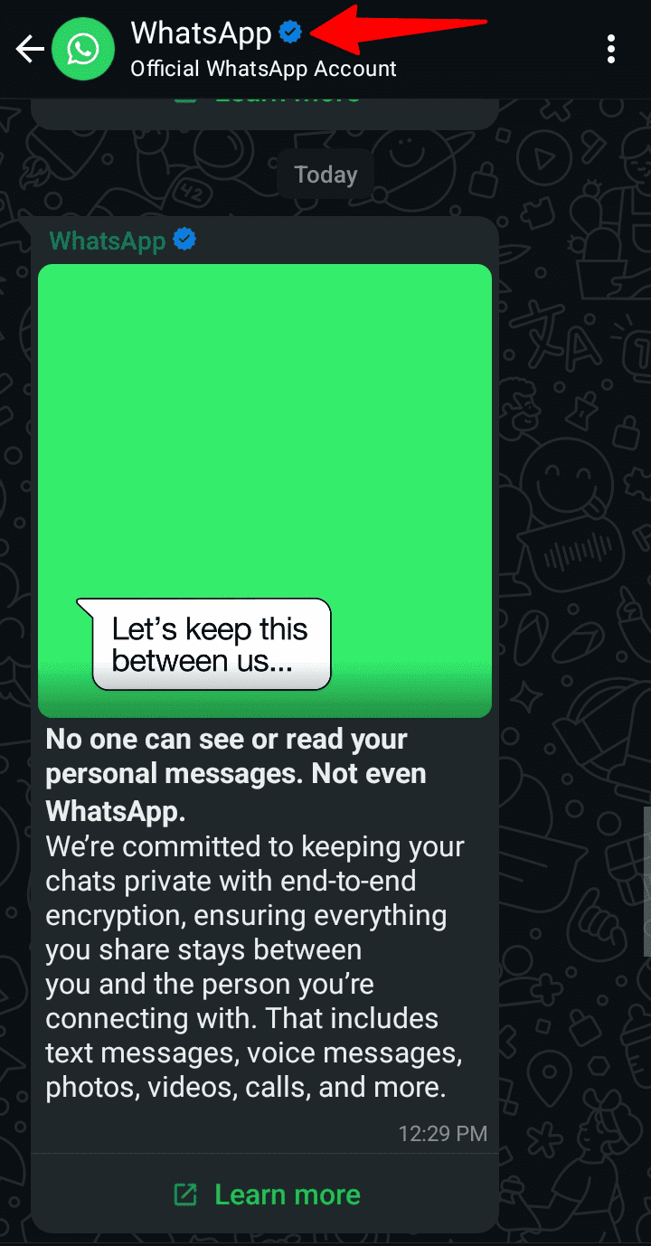 WhatsApp Blue Tick badge icon next to WhatsApp’s profile. 