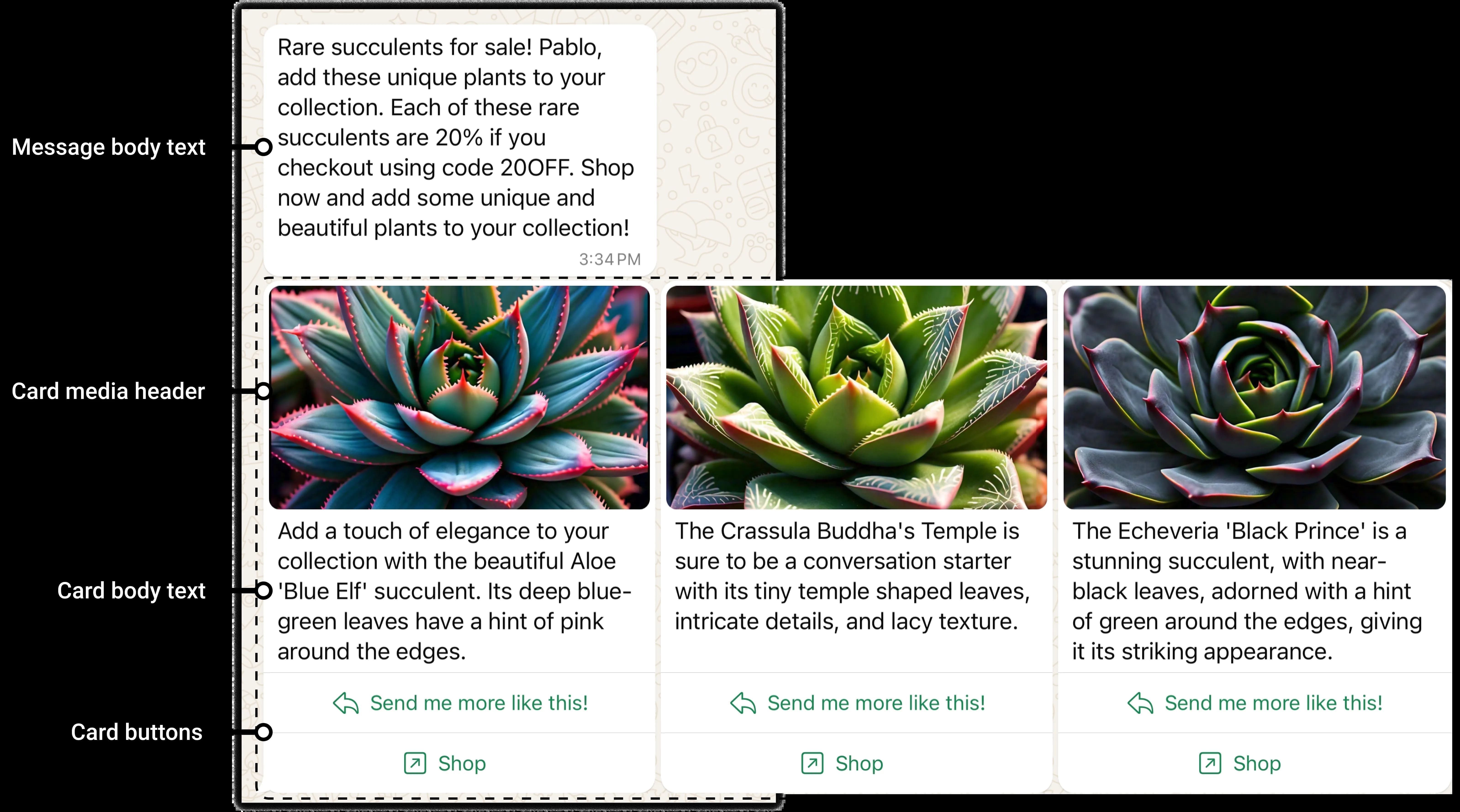 An example of a WhatsApp carousel message.