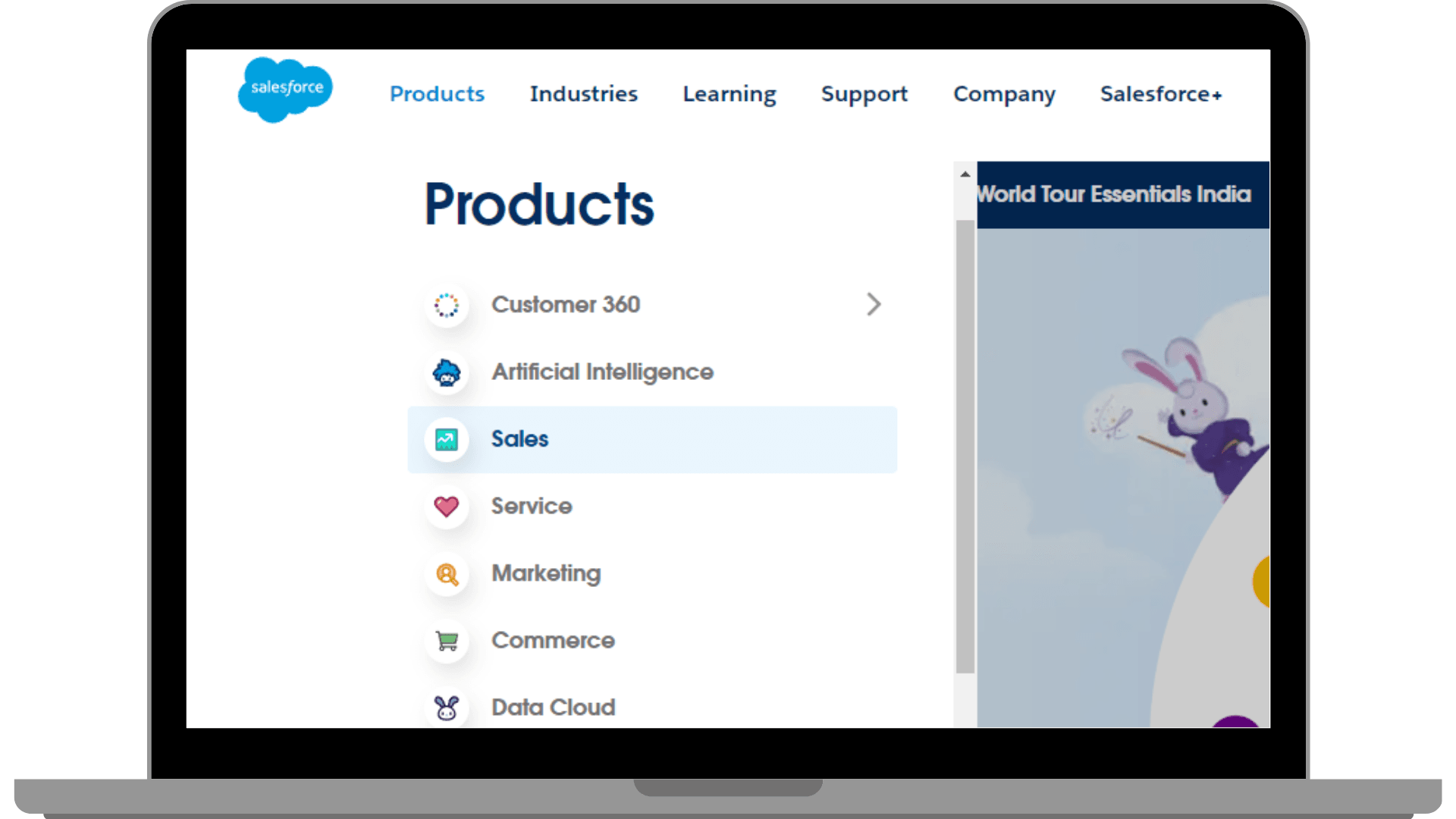 Solutions offered by Salesforce.