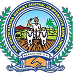 image 11.png