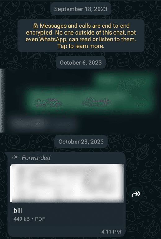 An example of a WhatsApp document message.