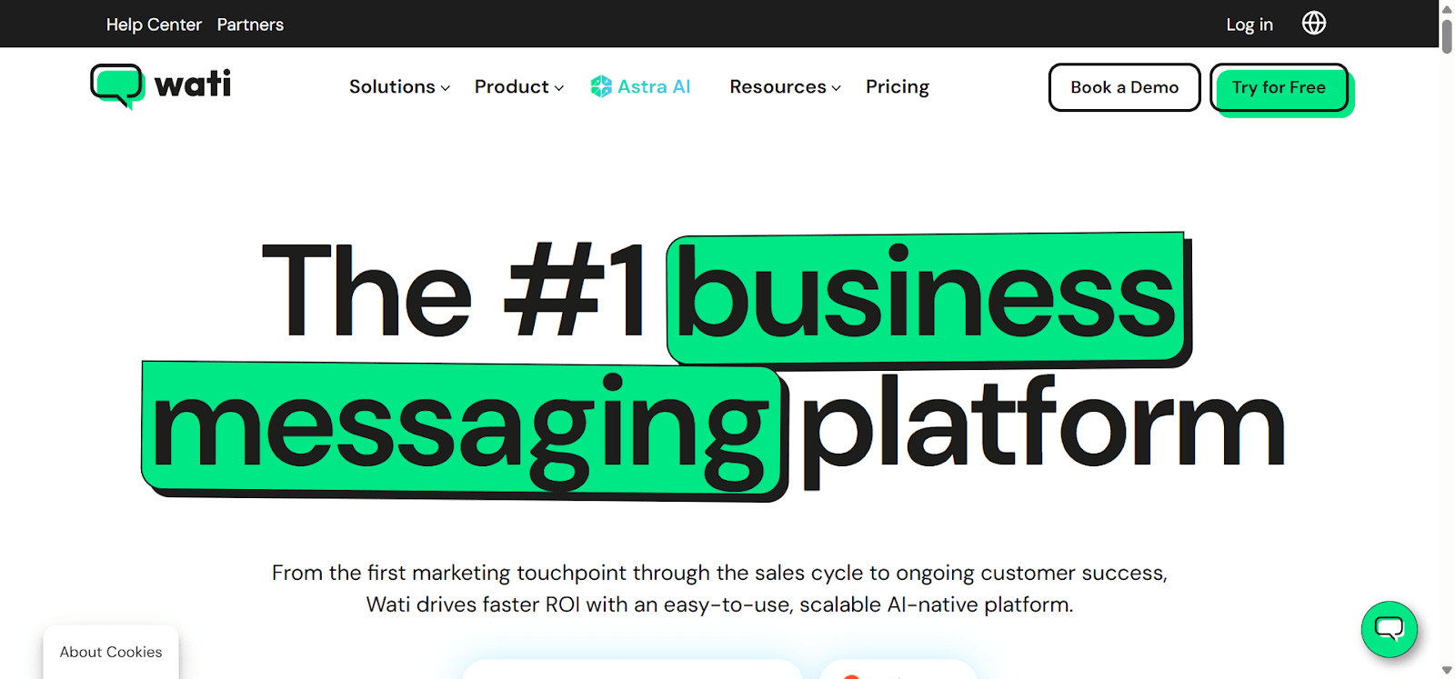 Wati WhatsApp marketing platform.